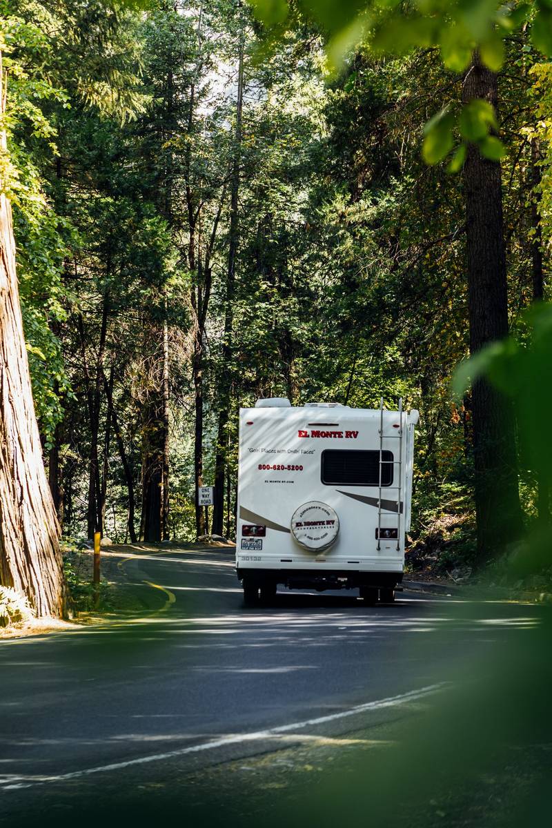 A white RV on a winding road through the forest