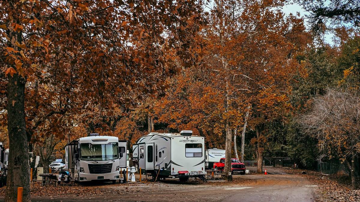 RVs parked at a campsite in fall color